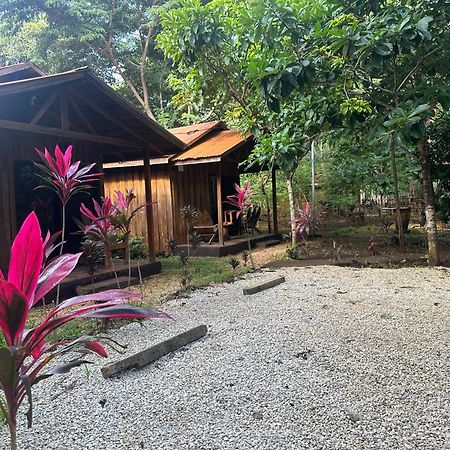 Finca Avellanas Lorena Экстерьер фото