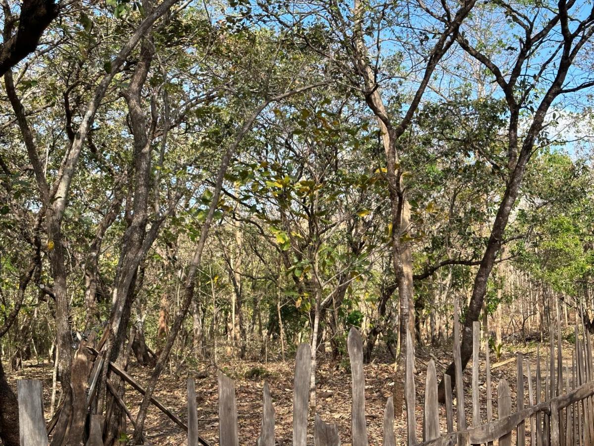 Finca Avellanas Lorena Экстерьер фото