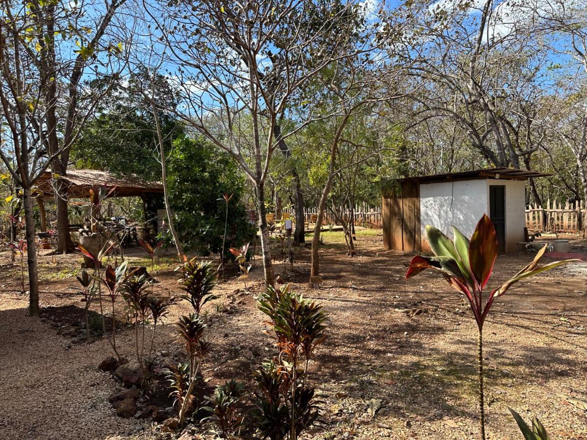 Finca Avellanas Lorena Экстерьер фото
