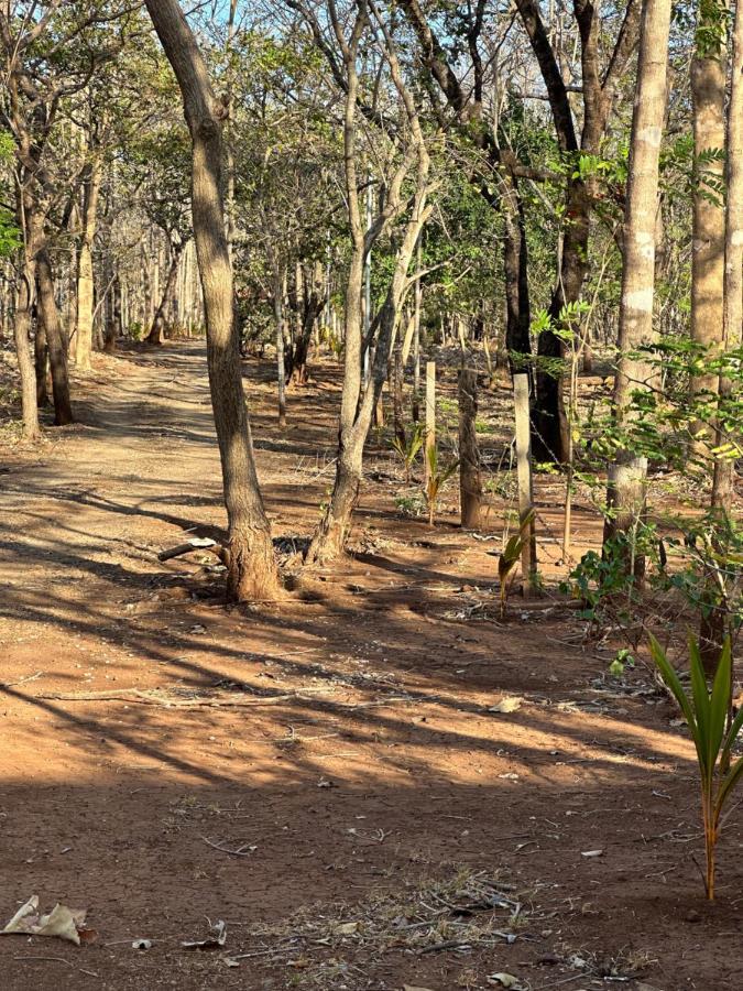Finca Avellanas Lorena Экстерьер фото