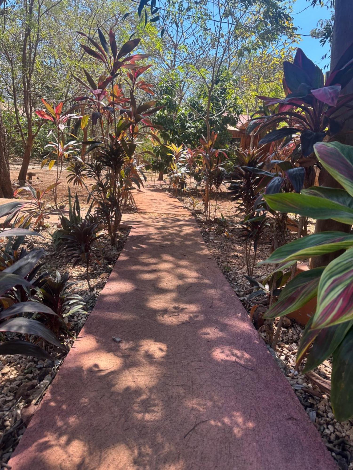 Finca Avellanas Lorena Экстерьер фото