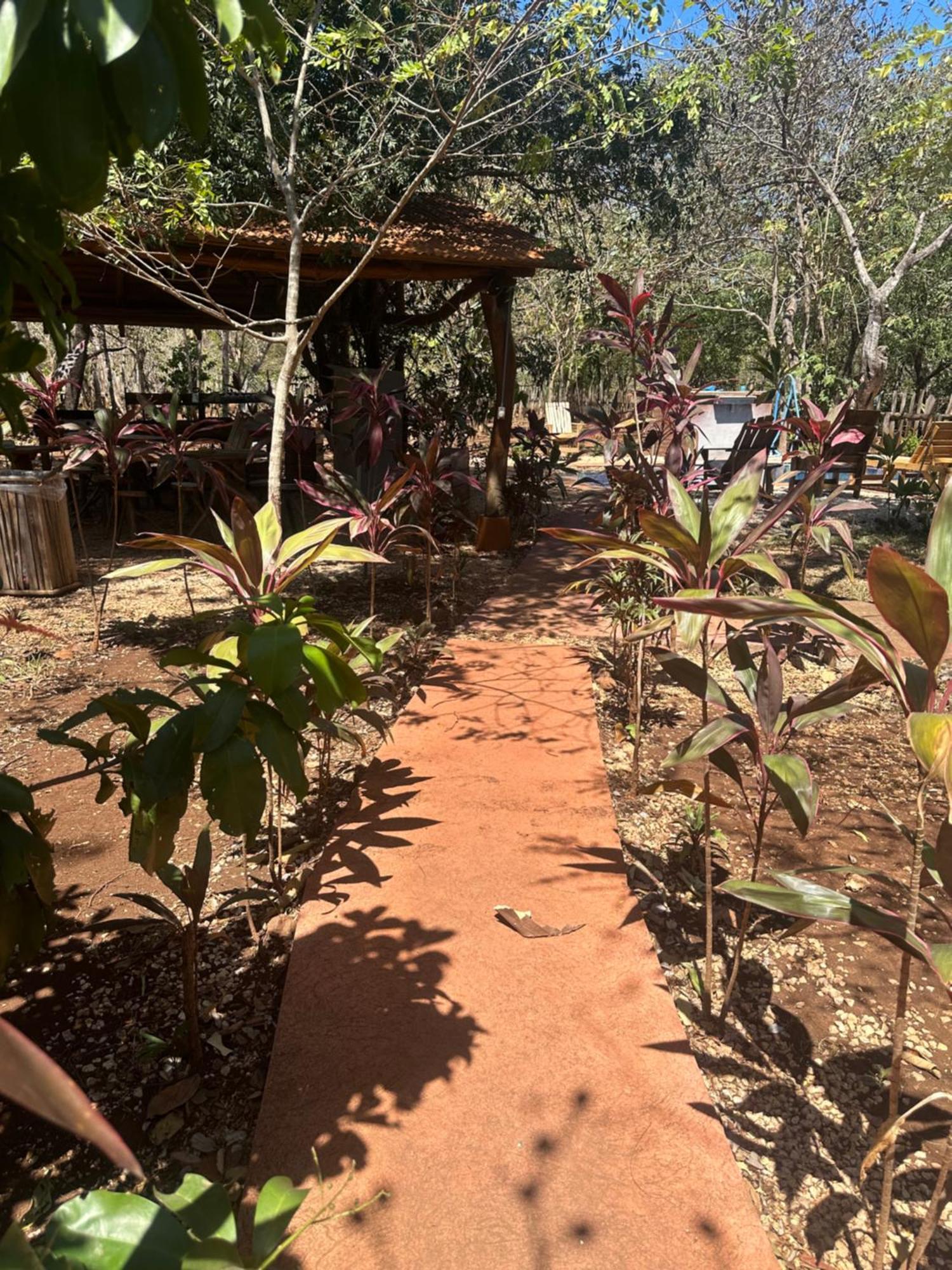 Finca Avellanas Lorena Экстерьер фото