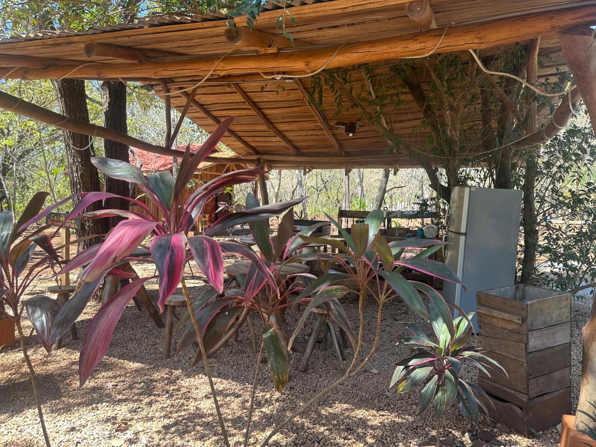 Finca Avellanas Lorena Экстерьер фото