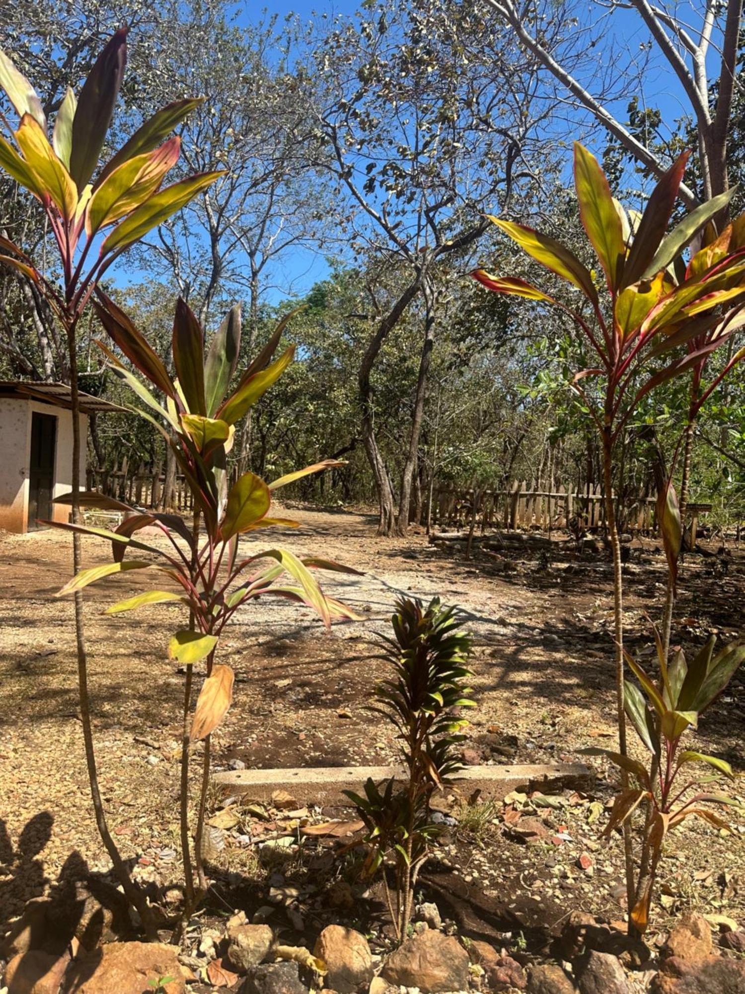 Finca Avellanas Lorena Экстерьер фото