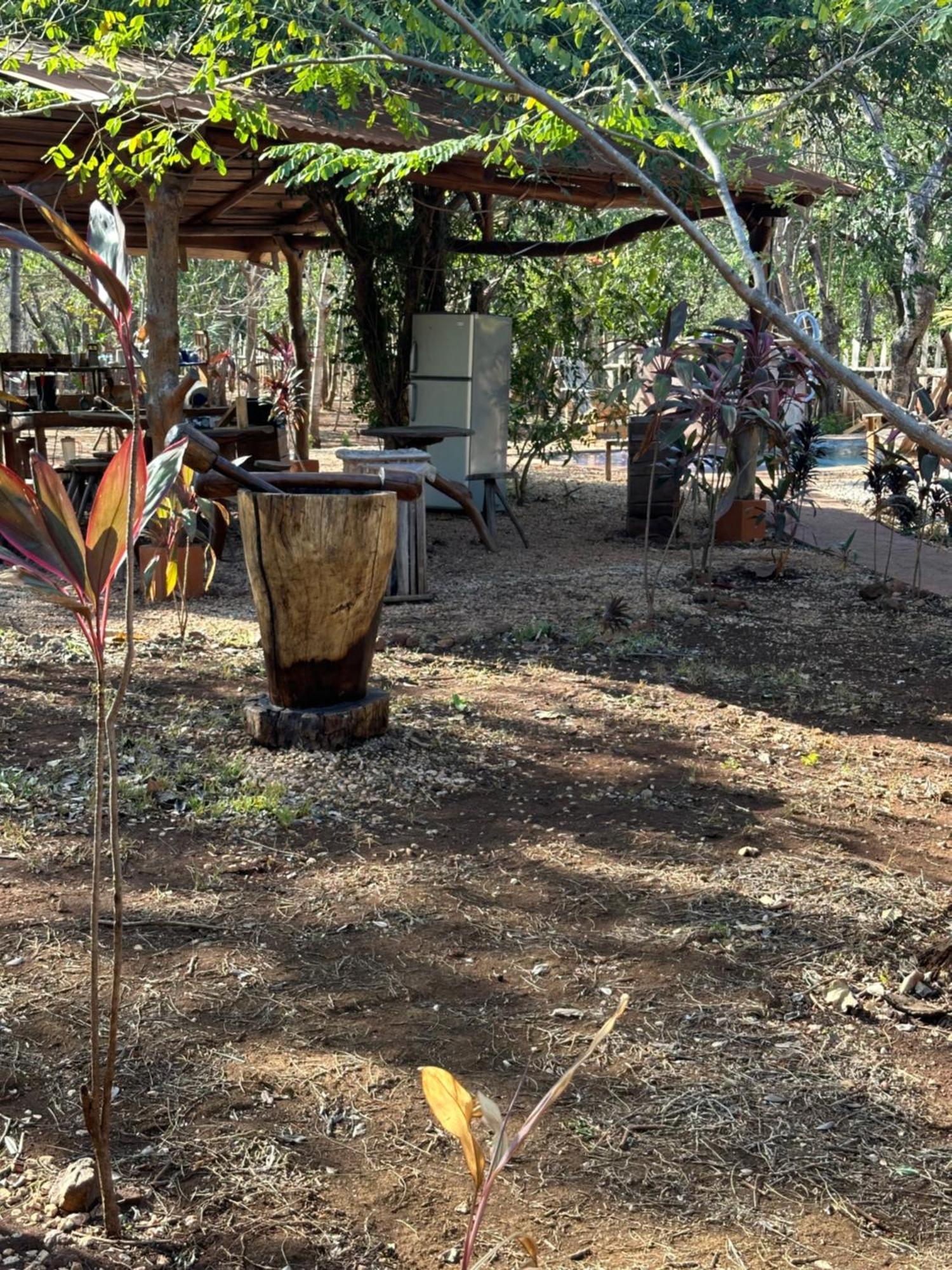 Finca Avellanas Lorena Экстерьер фото