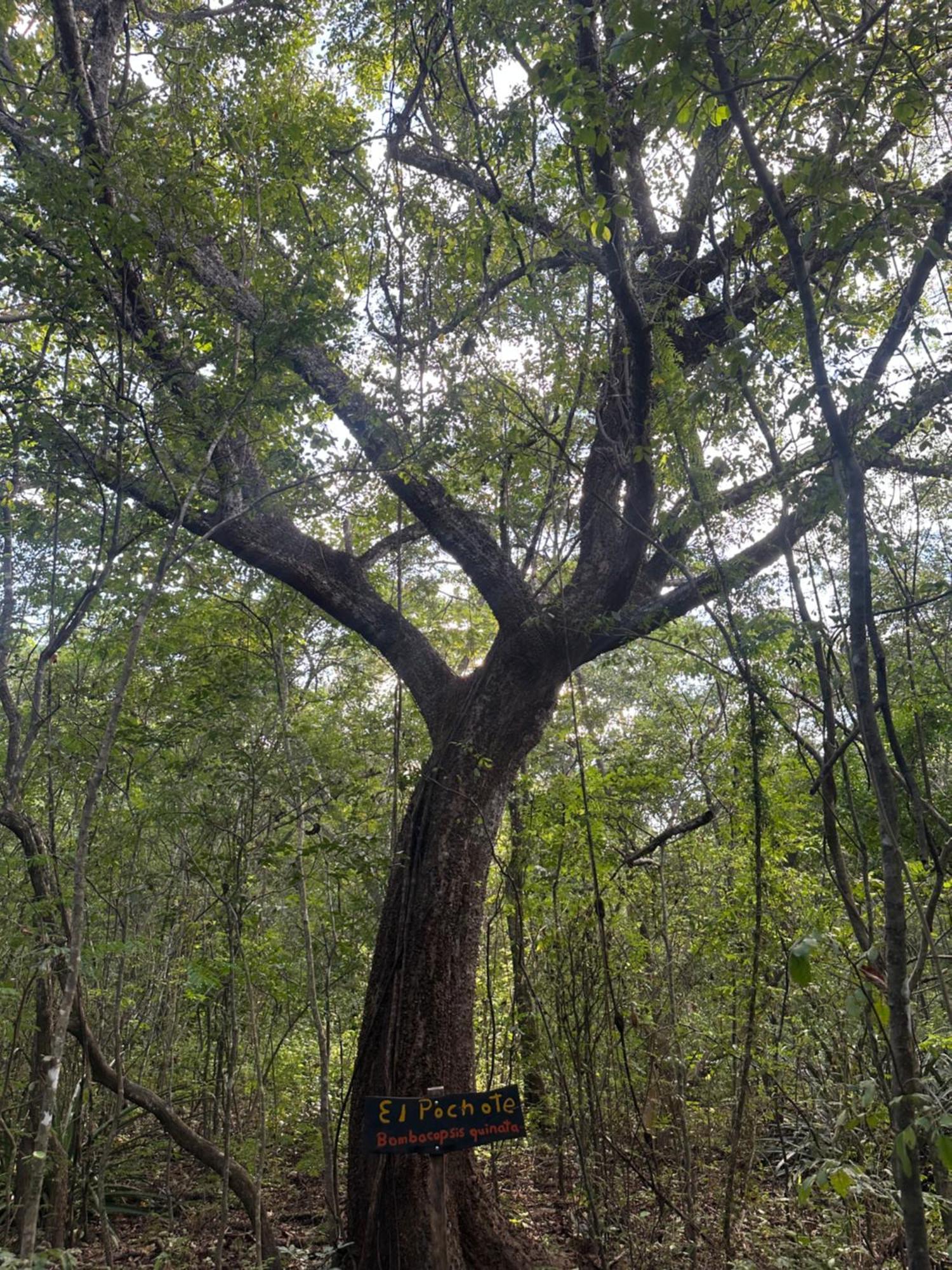 Finca Avellanas Lorena Экстерьер фото