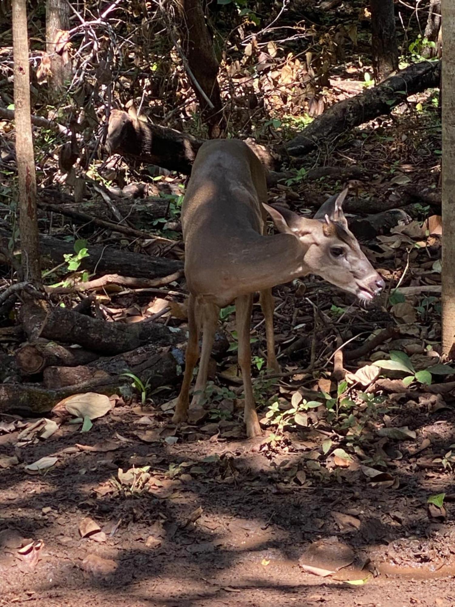 Finca Avellanas Lorena Экстерьер фото