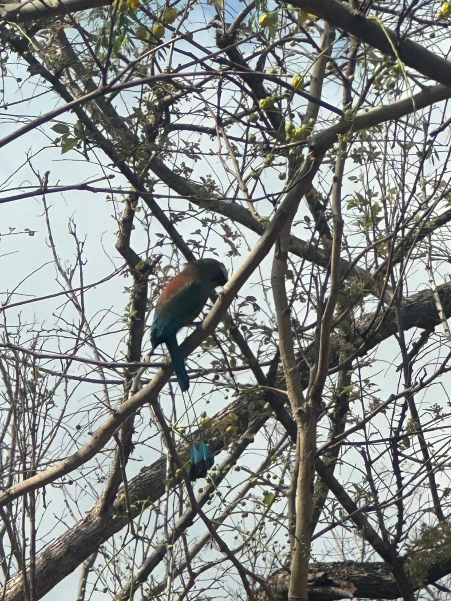 Finca Avellanas Lorena Экстерьер фото